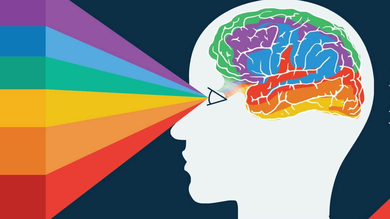 Ilustração de um cérebro processando um espectro de núcleos – A influência das cores no subconsciente e na tomada de decisões segundo a psicologia das cores.